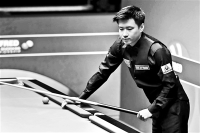 新西兰展示 新西兰展示