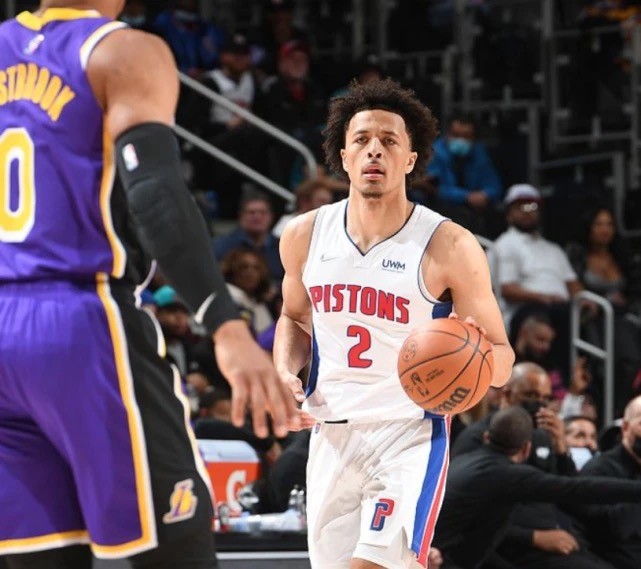 的关联度不 的关联度不